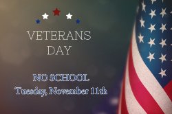 veterans day american flag and stars